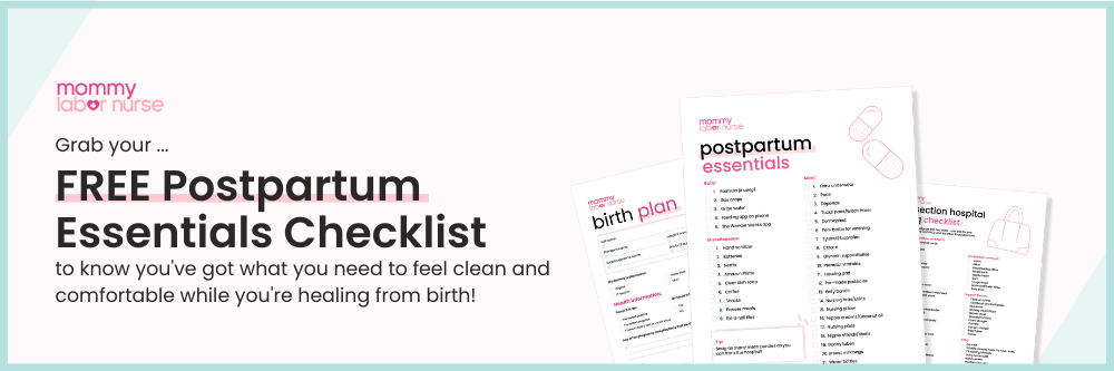 Postpartum Essentials Checklist Form Image